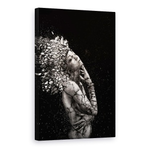 Tablou canvas - Indianca Fragila, Stanca, Crapa, Explozie, Spulbera, 60 x 90 cm