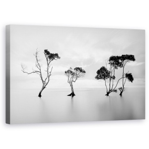 Tablou canvas - Inec, Peisaj Marin, Copac, Alb-Negru, Apa, 50 x 80 cm