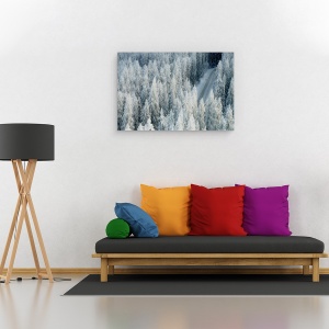 Tablou canvas - Intalnire, Peisaj, Copac, Pin, Brad, Inghet, 40 x 60 cm - Img 2
