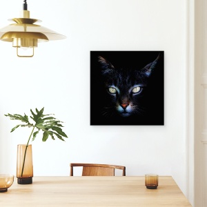 Tablou canvas - Intuneric, Pisica, Intuneric, Punct, Ochi, 60 x 60 cm - Img 4