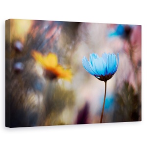 Tablou canvas - Invitatie la dans, Flori, Gradina, Albastru, Cuplu, 60 x 90 cm