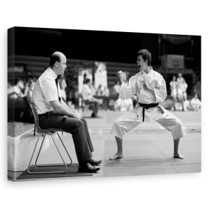 Tablou canvas - Kiae, Actiune, Alb-Negru, Lupta, Tutore, Uniform, 40 x 60 cm