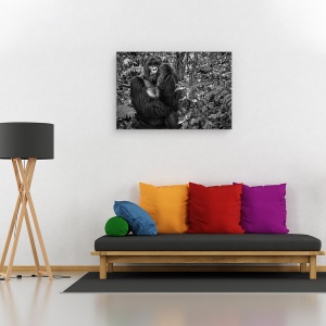 Tablou canvas - Kwitonda Silverback, Gorila, Rwanda, Virunga, Africa, Gorila, 60 x 90 cm - Img 2