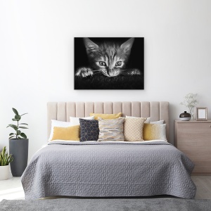 Tablou canvas - La Film, Pisica, Fereastra, Observare, 75 x 100 cm - Img 3