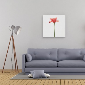Tablou canvas - Lalea Cu Tulpina Lunga, Rosu, Pasiune, 60 x 60 cm - Img 2