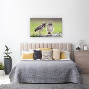 Tablou canvas - Lasa-Ma In Pace, Bufnita, Pasare, Natura, 50 x 80 cm - Img 3