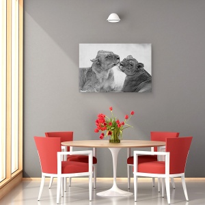 Tablou canvas - Lei In Alb-Negru, Zambia, Africa, Dragoste, 60 x 90 cm - Img 3