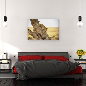 Tablou canvas - Leopard - Serengheti, Tanzania, Leopard, Ascensiune, Alpinism, Africa, 60 x 90 cm - Img 3