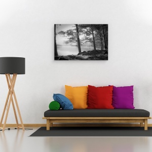 Tablou canvas - Loch An Eilein, Peisaj, Lac, Copac, Alb-Negru, Radacini, 40 x 60 cm - Img 2