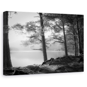 Tablou canvas - Loch An Eilein, Peisaj, Lac, Copac, Alb-Negru, Radacini, 60 x 90 cm