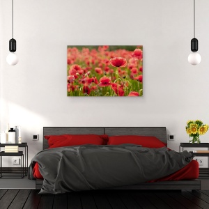 Tablou canvas - Lumina Din Spate, Maci, Rosu, Floare, Camp, 60 x 90 cm - Img 3