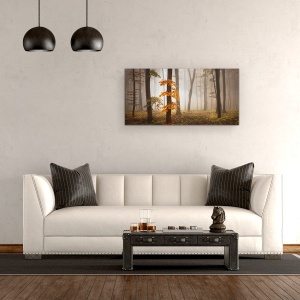 Tablou Canvas - Lumina in Noiembrie, Peisaj, Padure, Copac, Frunze, 50 x 100 cm - Img 2
