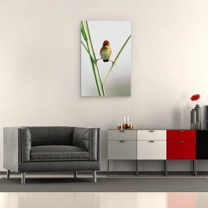 Tablou canvas - Maestru Kung Fu, Umor, Pasare, Simplu, Jakarta, 60 x 90 cm - Img 2