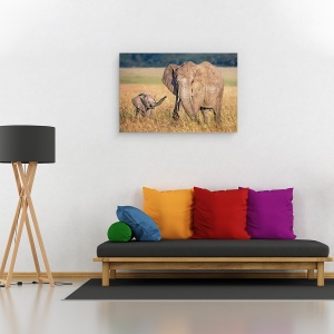Tablou canvas - Mama Elefant Cu Puiul, Africa, Safari, Masai Mara, 80 x 120 cm - Img 2