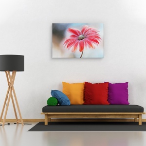 Tablou canvas - Margareta rosie, Flori, Frumusete, Planta, 80 x 120 cm - Img 2