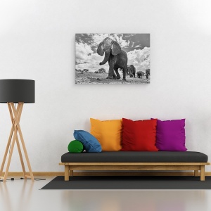 Tablou canvas - Mars Matriarhal, Elefant, Tarangerie, Africa, Tanzania, 80 x 120 cm - Img 2