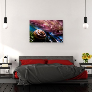 Tablou canvas - Melc, Coaja, Melc, Colorat, Abstract, Macro, 40 x 60 cm - Img 3