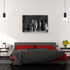 Tablou canvas - Mici Printre Mari, Elefant, Chobe, Rau, Botswana, Africa, 80 x 120 cm - Img 3