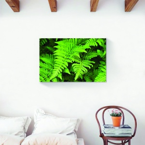 Tablou decorativ canvas frunză verde 60x90 cm