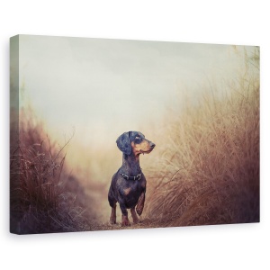 Tablou canvas - Natura Ma Cheama Si Trebuie Sa Plec.., Caini, Animale, Dimineata, Caine, Pet, 40 x 60 cm