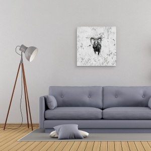 Tablou canvas - Natura, Muflon, Natura, Salbatic, Coarne, Spania, 90 x 90 cm - Img 2
