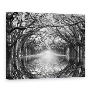 Tablou canvas - Natura, Peisaj, Padure, Alb-Negru, Lac, Reflectie, Pictura, 60 x 80 cm