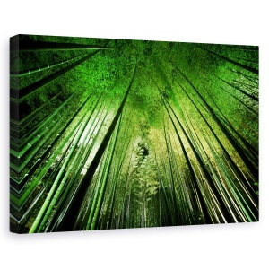 Tablou canvas - Noapte De Bambus, Frunzis, Vegetatie, Jungla, 60 x 90 cm
