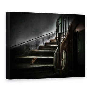 Tablou canvas - Noul Proprietar, Vechi, Casa, Degradare, Soarece, Sobolani, 60 x 80 cm