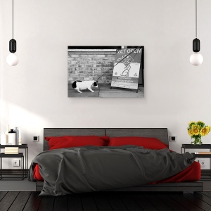 Tablou canvas - Nu, Nu Cu Siguranta Nu, Caine, Umor, Veterinar, 40 x 60 cm - Img 3