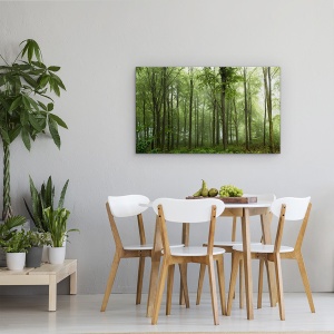 Tablou canvas - Padure, Danemarca, Ceata, Verde, Iutlanda, 50 x 80 cm - Img 4