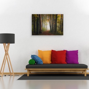 Tablou canvas - Padurea Colorata de Toamna, Drum, Mod, Perspectiva, Poteca, 40 x 60 cm - Img 2