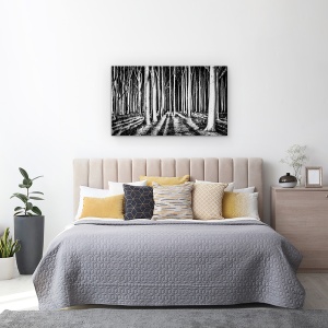 Tablou canvas - Padurea Fantoma, Peisaj, Copac, Trunchiuri, Umbra, Padure, 50 x 80 cm - Img 3