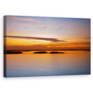 Tablou Canvas - Pana La Apus, Peisaj, Lac, Pasari, Ocean, 50 x 80 cm