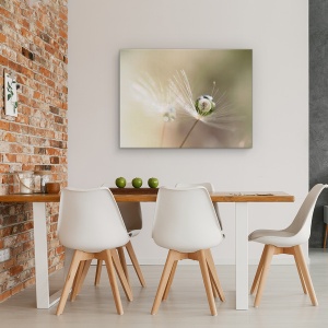 Tablou Canvas - Papadie, Pane, Delicata, Bland, 75 x 100 cm - Img 4