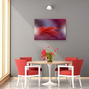 Tablou canvas - Pasiunea Rosie, Aproape, Picatura, Apa, Floare, 40 x 60 cm - Img 4
