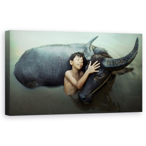 Tablou canvas - Pasnic, Pace, Emotie, Stare De Spirit, Sentiment, 50 x 100 cm