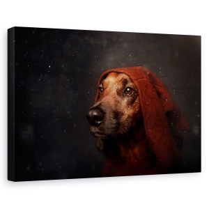 Tablou canvas - Paznicul De Noapte, Portret, Animal, Caini, Creativ, Caine, 60 x 90 cm