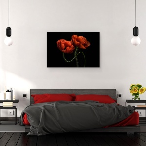 Tablou canvas - Pe La Miezul Noptii, Maci, Rosu, Flori, Fulger, 40 x 60 cm - Img 3