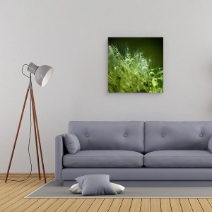Tablou canvas - Perlele Diminetii, Roua, Dimineata, Perle, Pana, Perla, 60 x 60 cm - Img 2