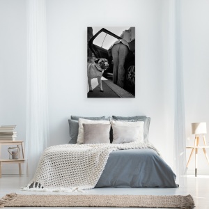 Tablou canvas - Pet, Caine, Pet, Limba, Linge, Strada, 60 x 90 cm - Img 3