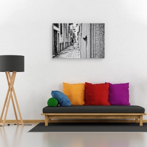 Tablou canvas - Pet, Pisica, Pet, Strada, Distractie, Amuzant, 60 x 90 cm - Img 2