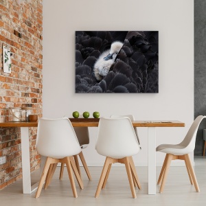 Tablou canvas - Pickaback, Ratusca, Copil, Dragut, Imbratisare, 50 x 70 cm - Img 4