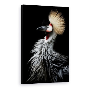 Tablou canvas - Portretul Macaralei Incoronate, Pasare, Pasari, Animale, 40 x 60 cm