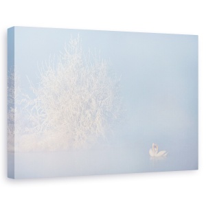 Tablou canvas - Poveste De Dragoste In Timpul Iernii, Salbatic, Natura, Animale, 60 x 90 cm