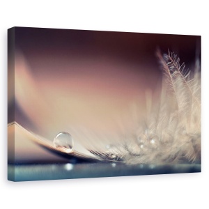 Tablou canvas - Povestea picaturilor, Flori, Pene, Moale, Delicat, 60 x 90 cm