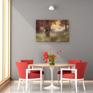 Tablou canvas - Pozand, Salbatic, Cerb, Caprioara, Padure, 40 x 60 cm - Img 4