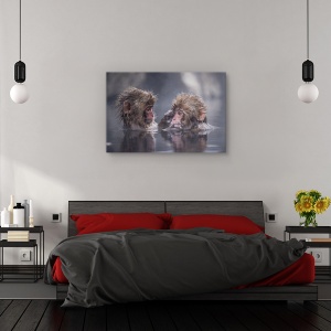 Tablou canvas - Prieteni, Nature, Maimuta, Cuplu, Prietenie, 80 x 120 cm - Img 3