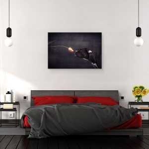 Tablou canvas - Prima Abordare, Studio, Caini, Floare, Animale, 60 x 90 cm - Img 3
