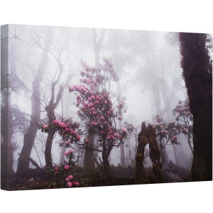 Tablou canvas - Prin Ceata, Padure, Peisaj, Floare Salbatica, 80 x 120 cm