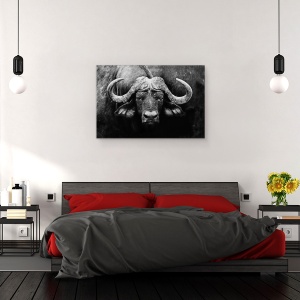 Tablou canvas - Privirea, Buffalo, Africa, Animale, Alb-Negru, Coarne, 80 x 120 cm - Img 3